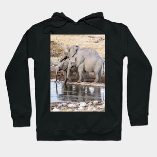 Elephants at the waterhole. Hoodie